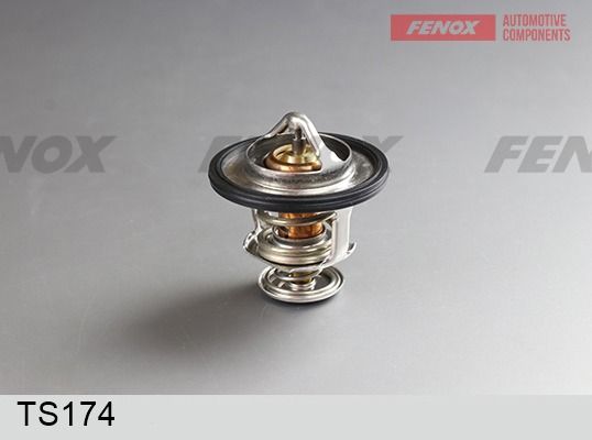 Термостат, охлаждающая жидкость FENOX TS174
