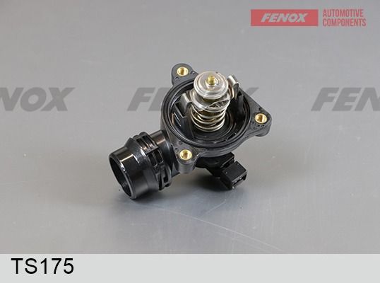 Термостат, охлаждающая жидкость FENOX TS175