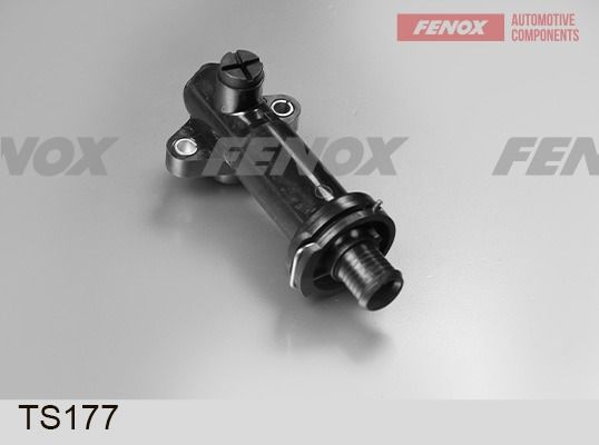Термостат, охлаждающая жидкость FENOX TS177