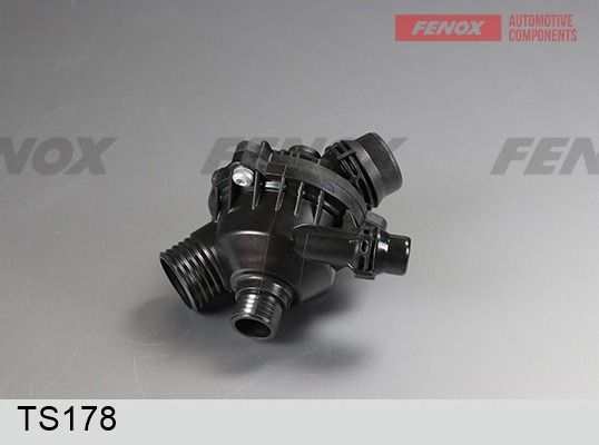 Термостат, охлаждающая жидкость FENOX TS178