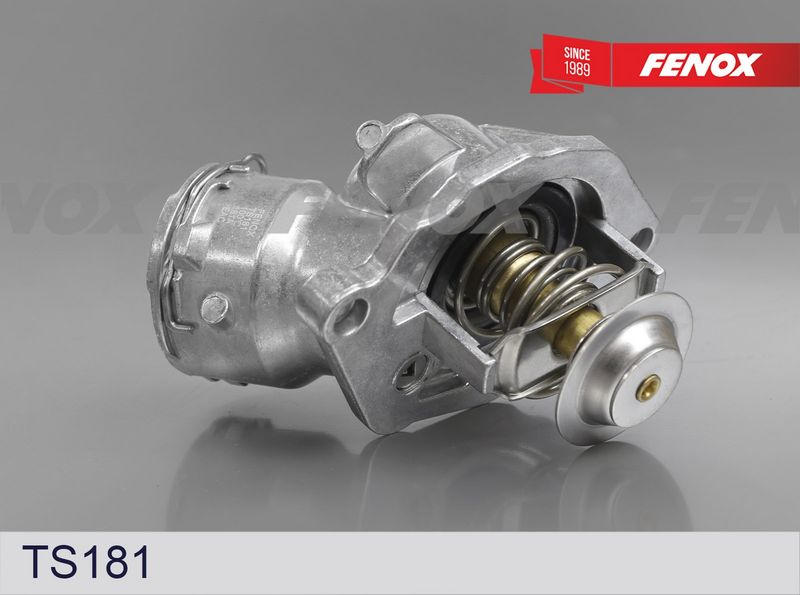 Термостат, охлаждающая жидкость FENOX TS181