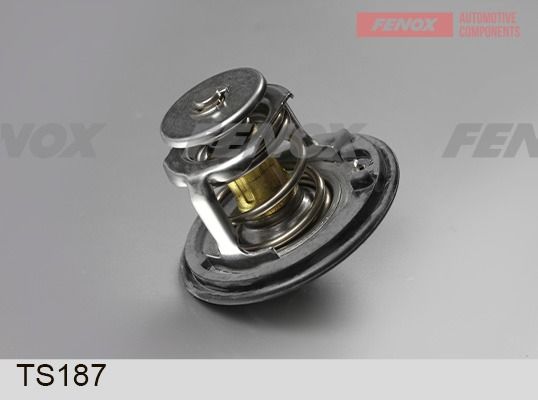Термостат, охлаждающая жидкость FENOX TS187