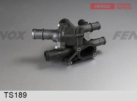 Термостат, охлаждающая жидкость FENOX TS189