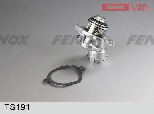 Термостат, охлаждающая жидкость FENOX TS191