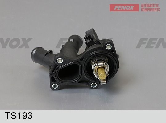 Термостат, охлаждающая жидкость FENOX TS193