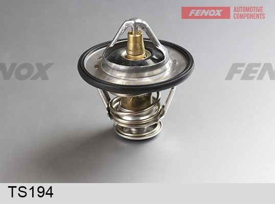 Термостат, охлаждающая жидкость FENOX TS194