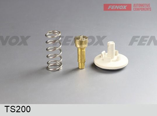 Термостат, охлаждающая жидкость FENOX TS200