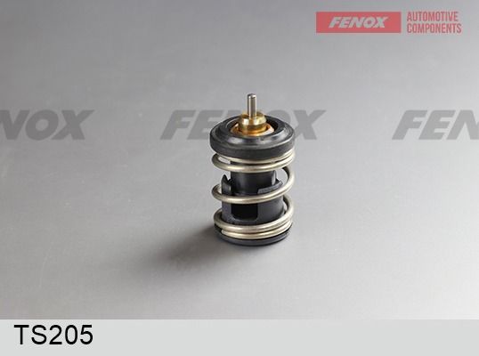 Термостат, охлаждающая жидкость FENOX TS205
