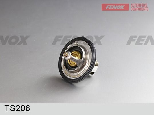 Термостат, охлаждающая жидкость FENOX TS206