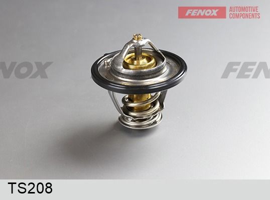 Термостат, охлаждающая жидкость FENOX TS208
