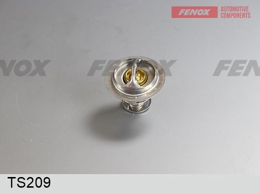 Термостат, охлаждающая жидкость FENOX TS209