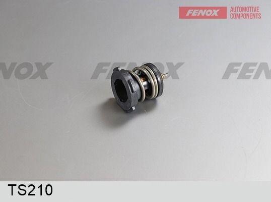 Термостат, охлаждающая жидкость FENOX TS210