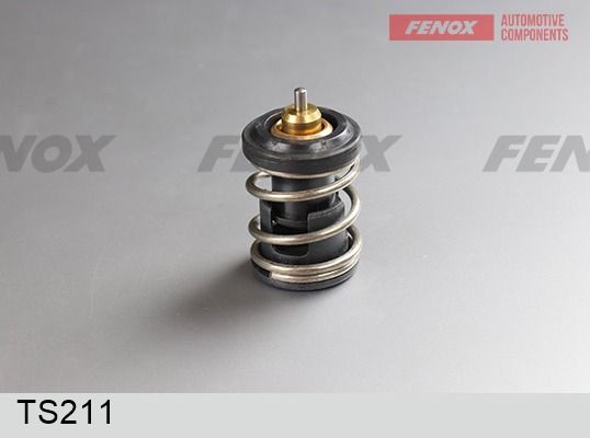 Термостат, охлаждающая жидкость FENOX TS211