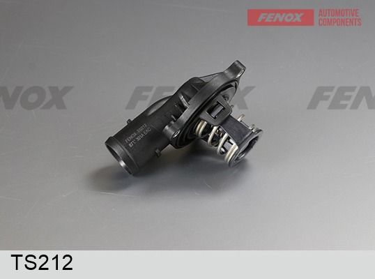 Термостат, охлаждающая жидкость FENOX TS212