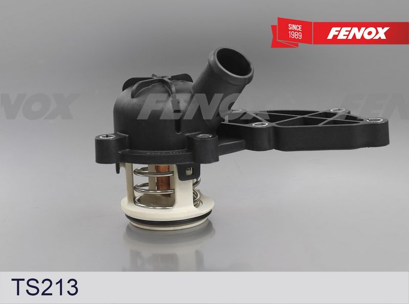Термостат, охлаждающая жидкость FENOX TS213