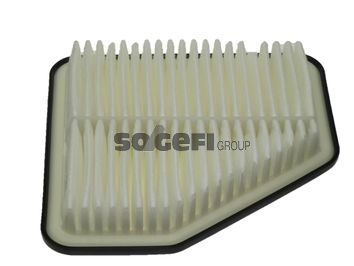 Воздушный фильтр FRAM CA10169