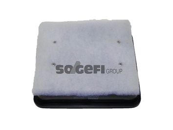 Воздушный фильтр FRAM CA10355