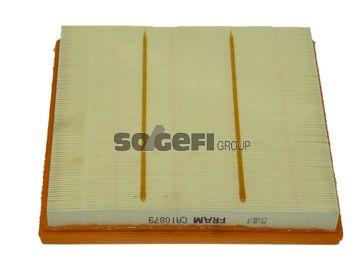 Воздушный фильтр FRAM CA10879