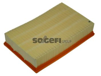 Воздушный фильтр FRAM CA8919