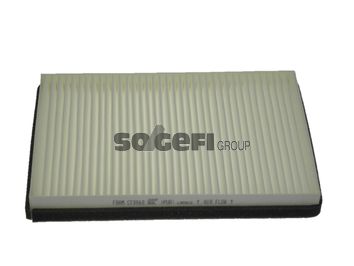 Фильтр, воздух во внутренном пространстве FRAM CF8868