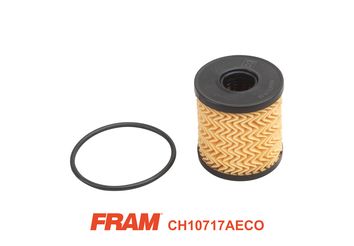 Масляный фильтр FRAM CH10717AECO