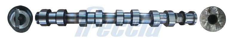 Распредвал FRECCIA CM052136