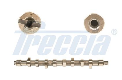 Распредвал FRECCIA CM052141