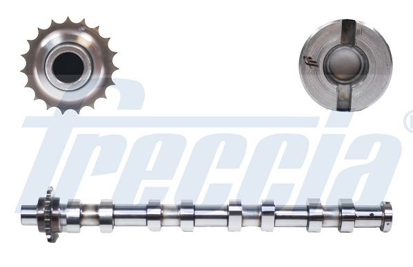 Распредвал FRECCIA CM052145