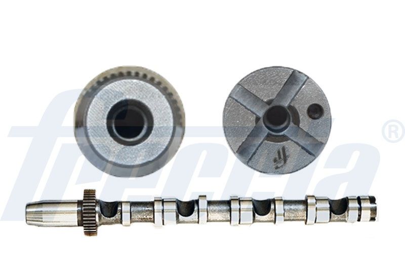 Распредвал FRECCIA CM052190