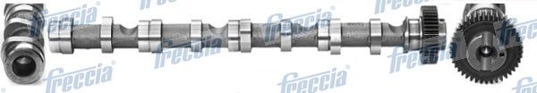 Распредвал FRECCIA CM052195
