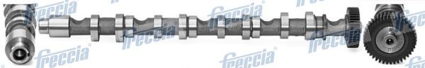 Распредвал FRECCIA CM052196