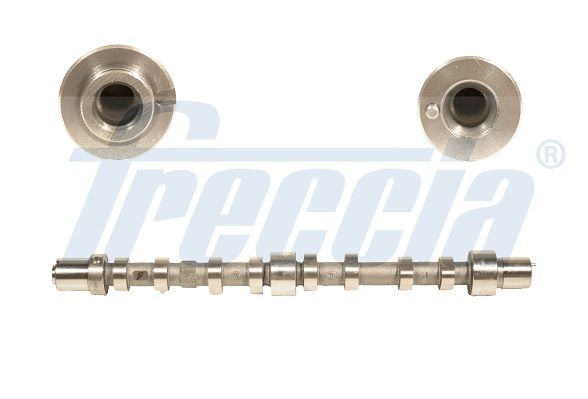 Распредвал FRECCIA CM052199