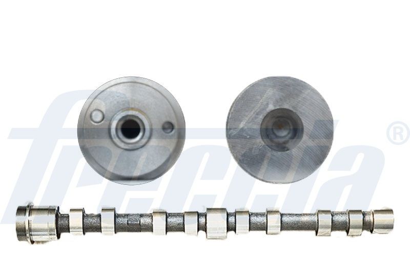 Распредвал FRECCIA CM052273
