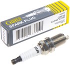 Запчасть GANZ GIP21313