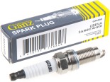 Запчасть GANZ GIP22081