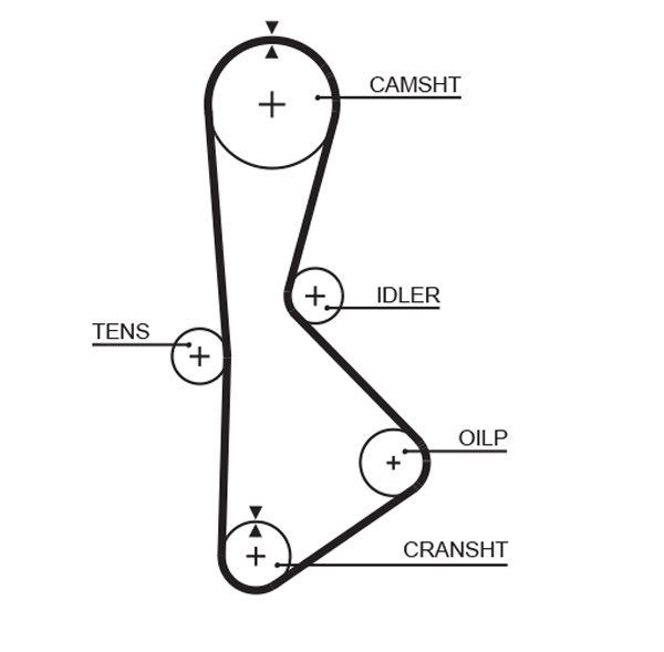 Зубчатый ремень GATES T233