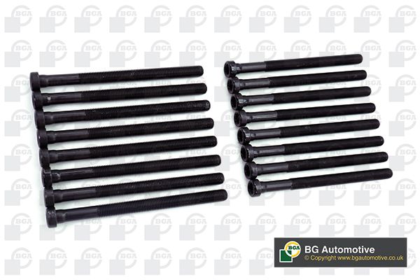 Комплект болтов головки цилидра BGA BK3369