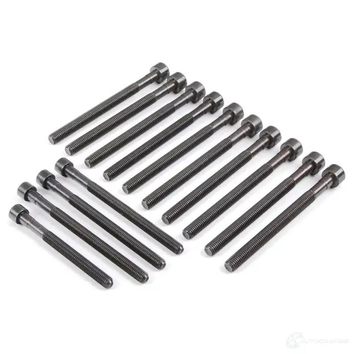 Комплект болтов для головки блока цил. TORX
 BMW 11127548799