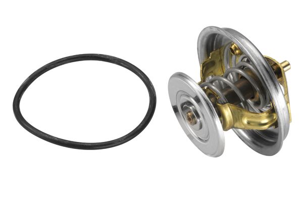 Термостат, охлаждающая жидкость BorgWarner 407887D