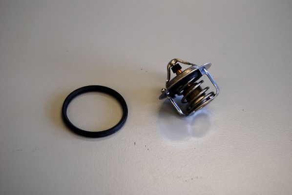 Термостат, охлаждающая жидкость BorgWarner 41124182D