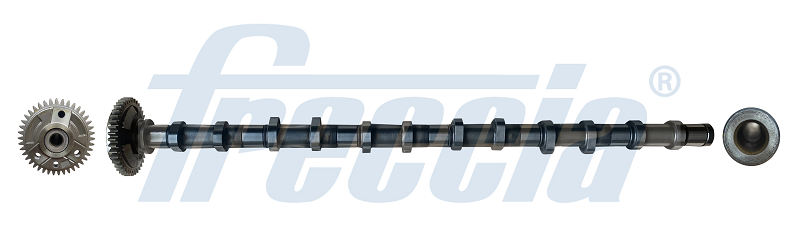Распредвал FRECCIA CM052354