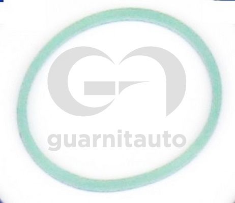 Прокладка, впускной коллектор GUARNITAUTO 1847658300