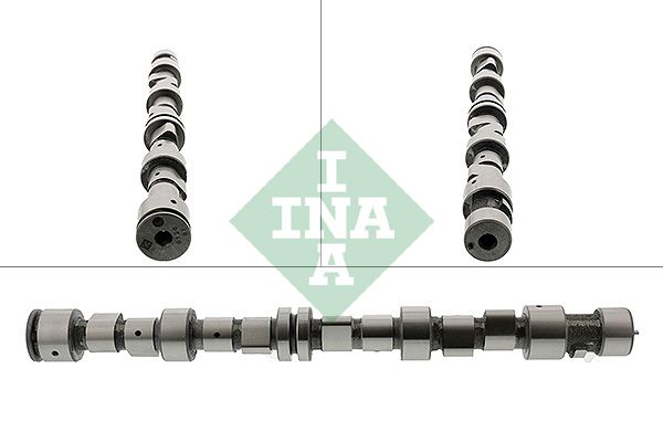 Распредвал INA 428009610
