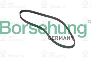 Запчасть Borsehung B12381