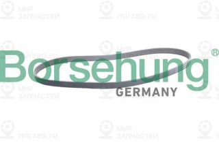 Запчасть Borsehung B12387