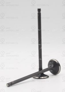 Запчасть AUTOWELT VI32044