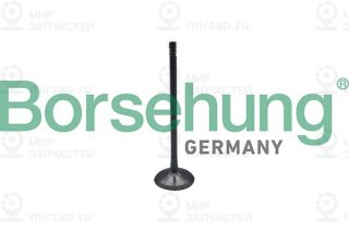 Запчасть Borsehung B10323