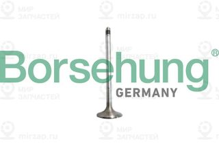 Запчасть Borsehung B10327