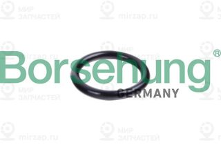 Запчасть Borsehung B10632