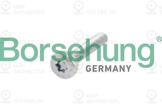 Запчасть Borsehung B10634